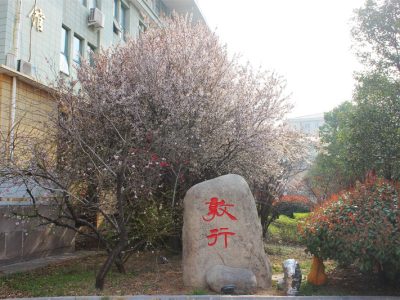 校园风光